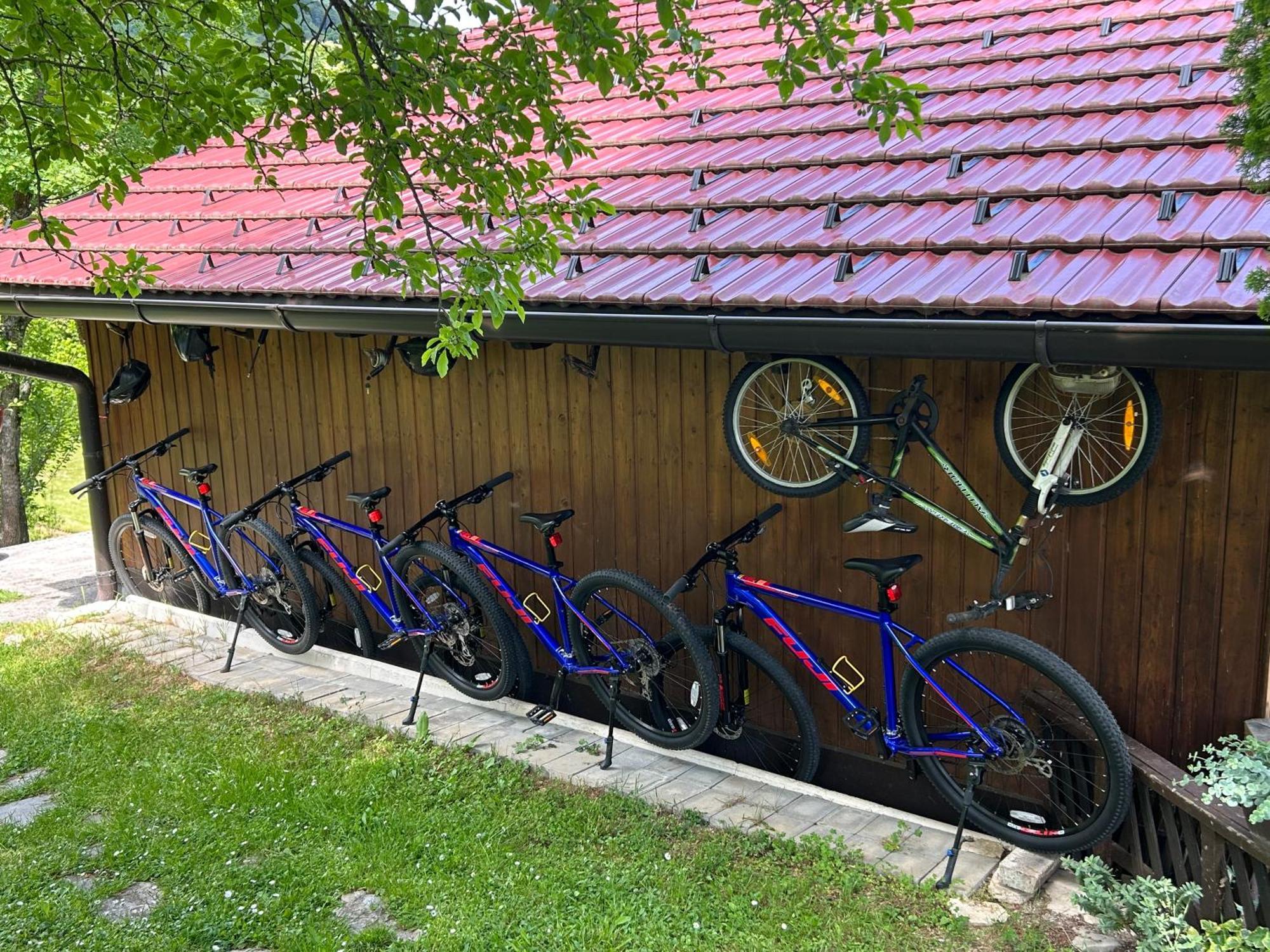 D.I.M. Holiday House Seliste Dreznicko Eksteriør billede